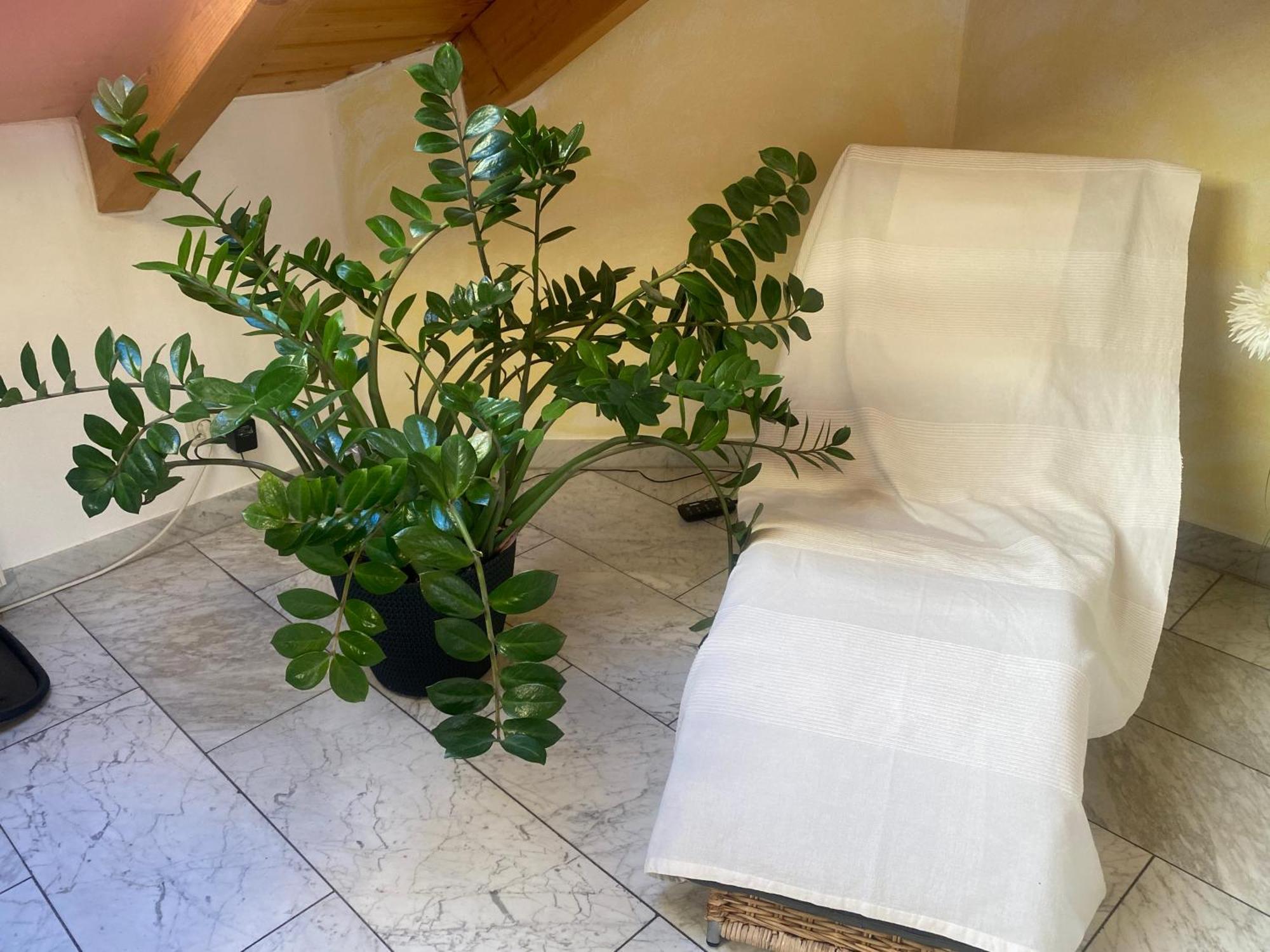 Apartment Am Forggensee Nr 2 *